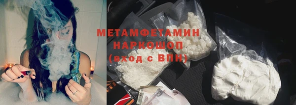 прущие грибы Лабытнанги