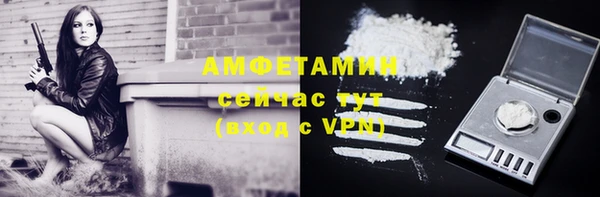прущие грибы Лабытнанги