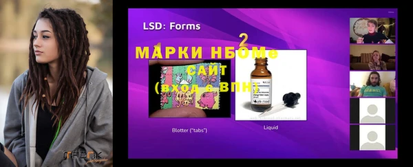 прущие грибы Лабытнанги