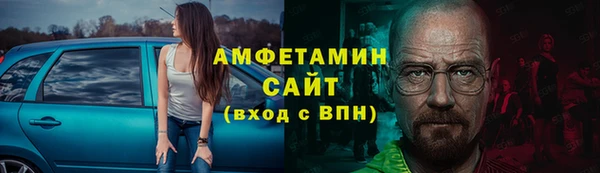 прущие грибы Лабытнанги