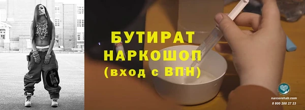 прущие грибы Лабытнанги