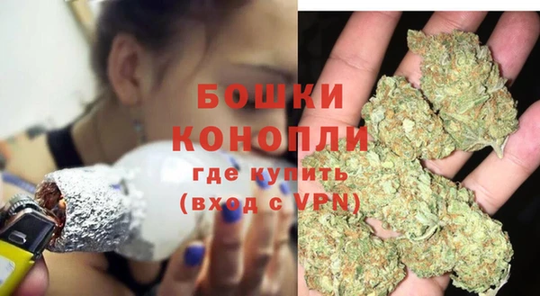 spice Лагань