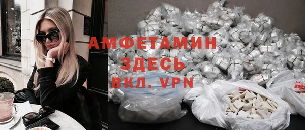 молекула духа Ладушкин