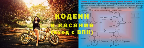 молекула духа Ладушкин