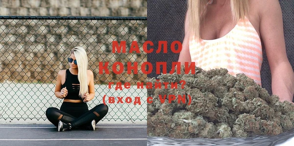 молекула духа Ладушкин