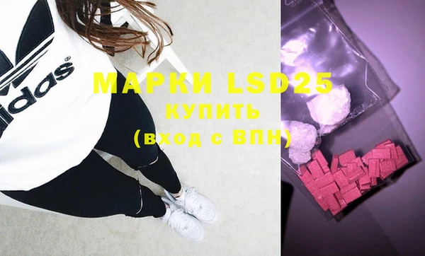 молекула духа Ладушкин