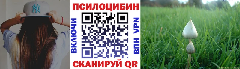 это состав  цена наркотик  Ершов  Галлюциногенные грибы прущие грибы 